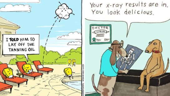 19 Laugh-out-loud humor will brighten your day and attitude