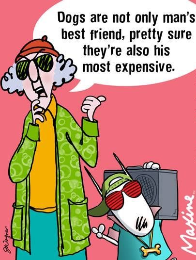 19 Maxine Comics with the intention of bringing joy to others