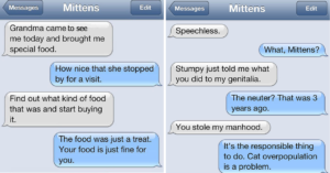 Cat Text Conversations