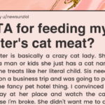 Cat Owner expects