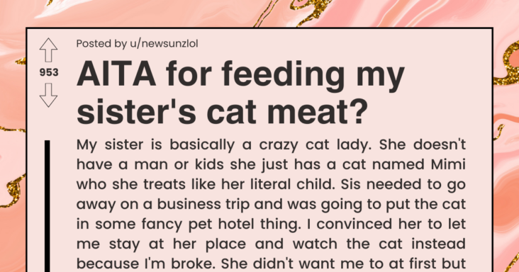 Cat Owner expects