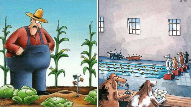 20 New Surprisingly Far Side Comics That Take Funny Turns