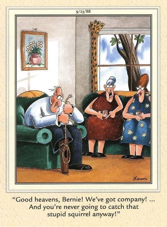 20 Lighthearted Far Side Comics to Uplift Your Mood