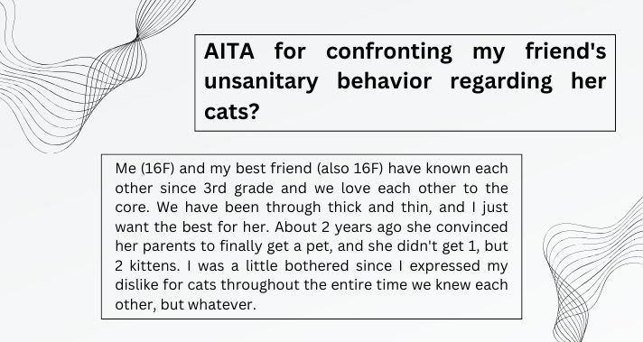 Behavior Regarding Cats