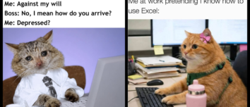 Best Comics About Pet Owners