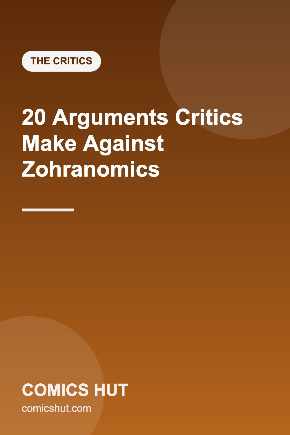 20 Arguments Critics Make Against Zohranomics