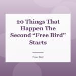 20 Things That Happen The Second “Free Bird” Starts