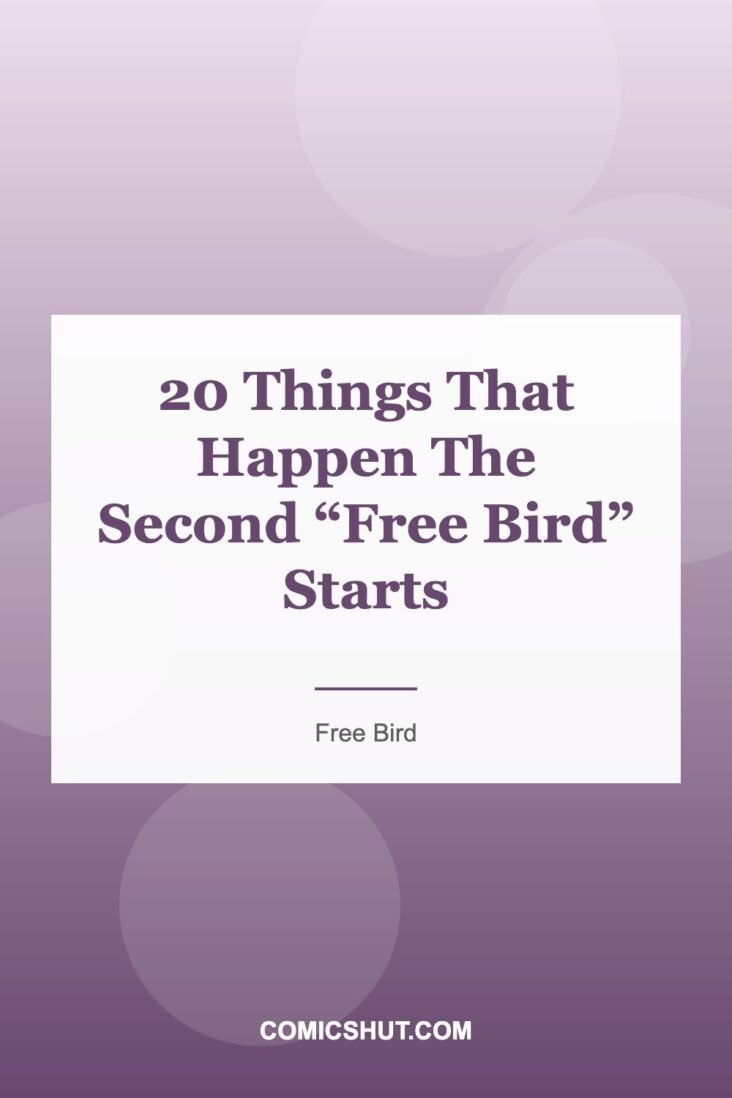 20 Things That Happen The Second “Free Bird” Starts