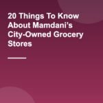 20 Things To Know About Mamdani’s City-Owned Grocery Stores