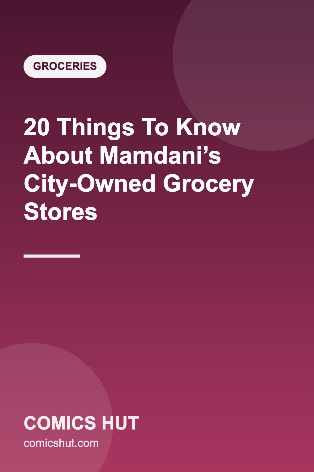 20 Things To Know About Mamdani’s City-Owned Grocery Stores