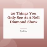 20 Things You Only See At A Neil Diamond Show