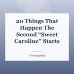 20 Things That Happen The Second “Sweet Caroline” Starts