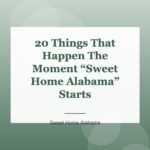 20 Things That Happen The Moment “Sweet Home Alabama” Starts